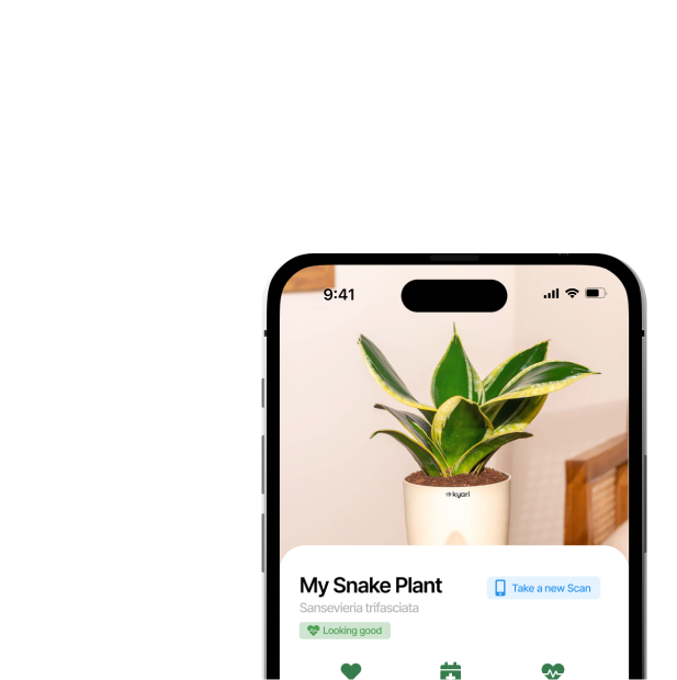 Instant plant scans